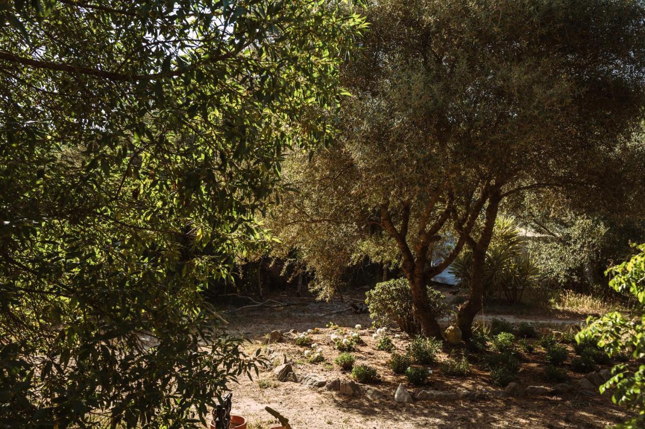 La Veleta Luxury tent Cadiz