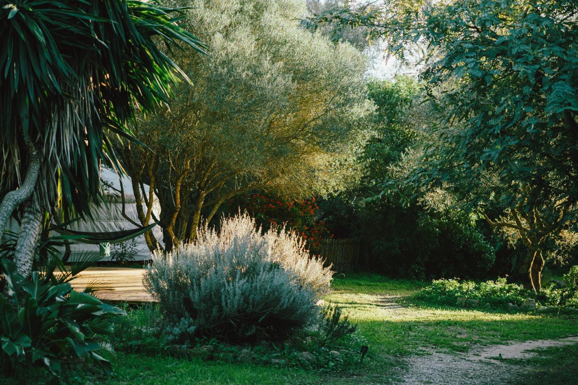 La Veleta Luxury tent