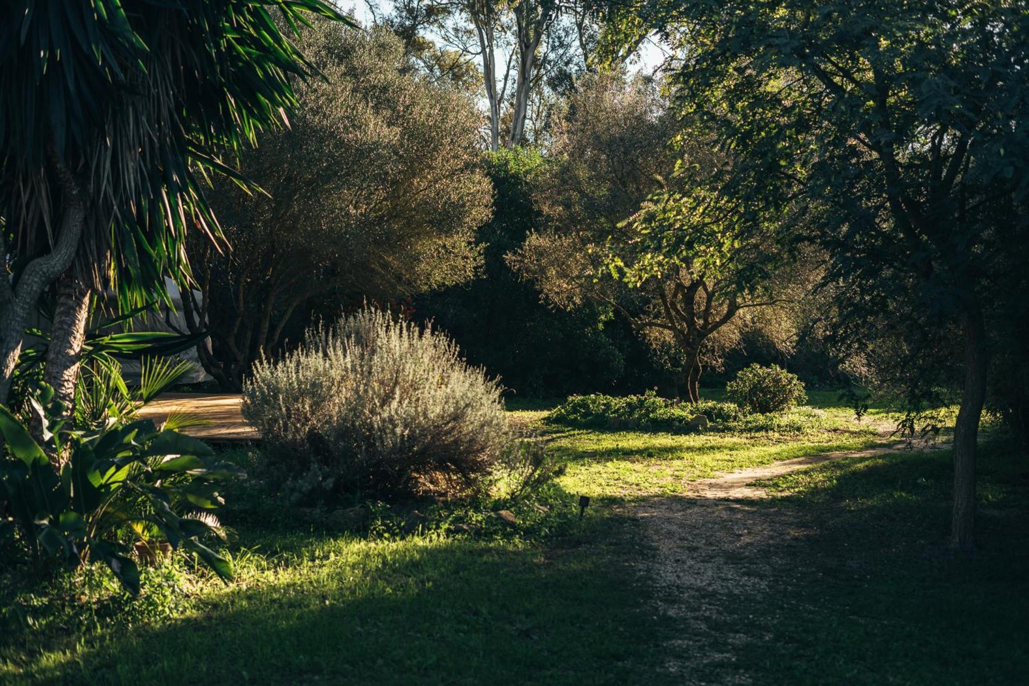 Luxury tent La Veleta
